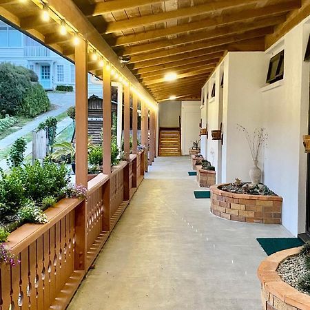 The Swiss Chalet Holiday Apartment 4, Bay Of Islands Paihia Zewnętrze zdjęcie